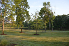 builder-home-13